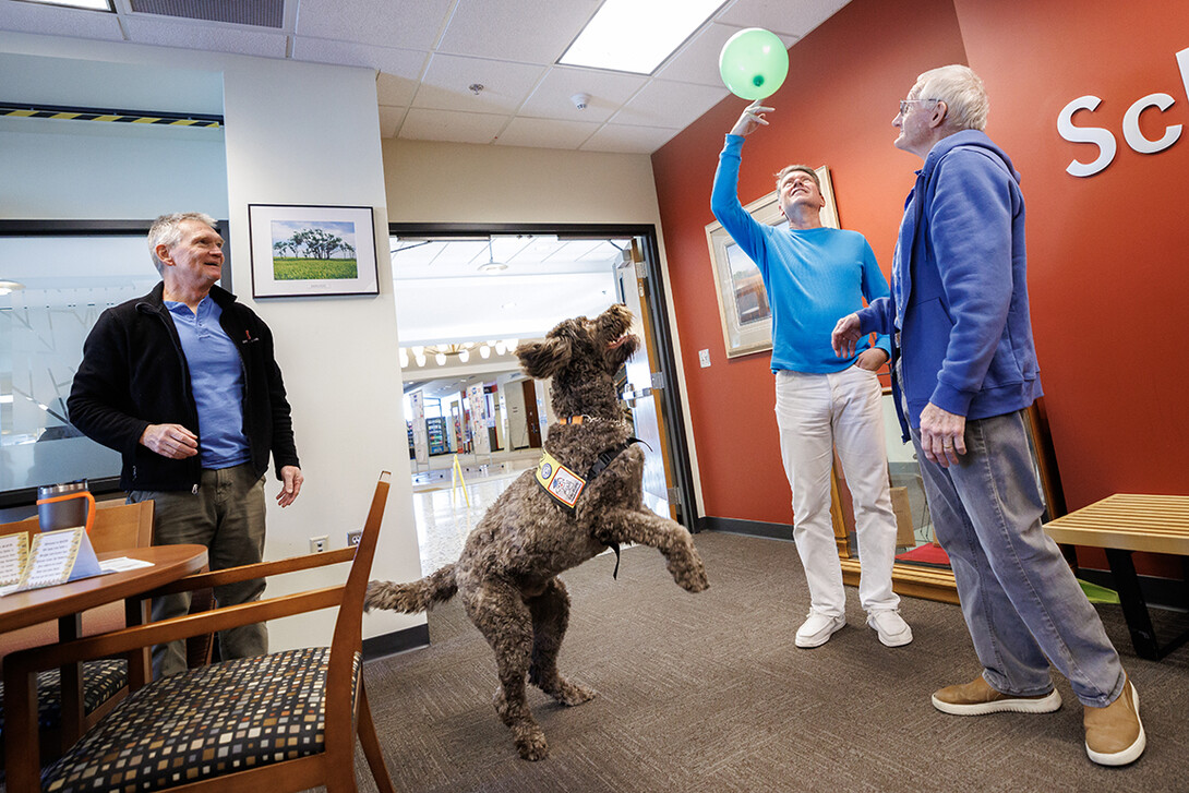 A dog jumps at a balloon in the School of Natural Resources.