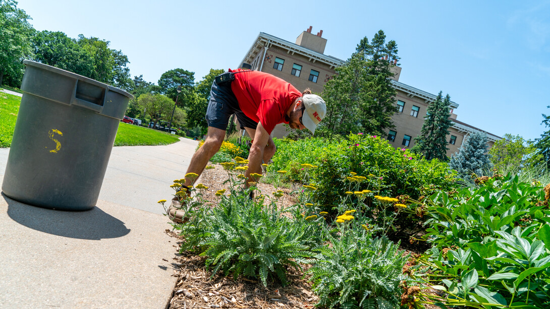 Ben Holmes pulls weeds on East Campus.