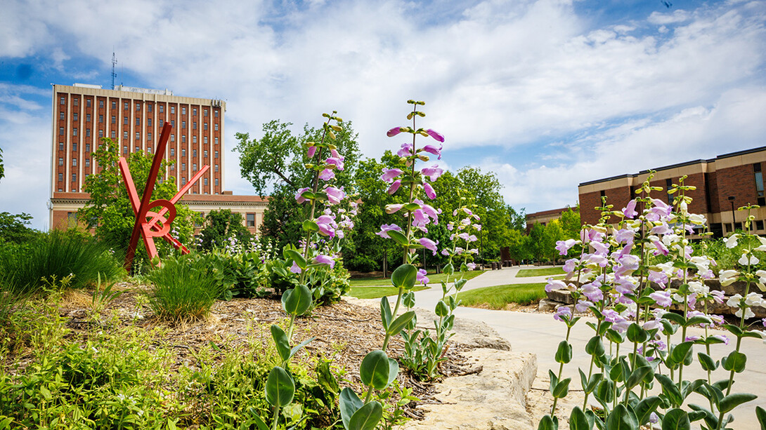 Purple spring blooms pop up in the frame of Oldfather Hall and the Old Glory sculpture.