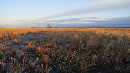 Platte Basin Timelapse Project