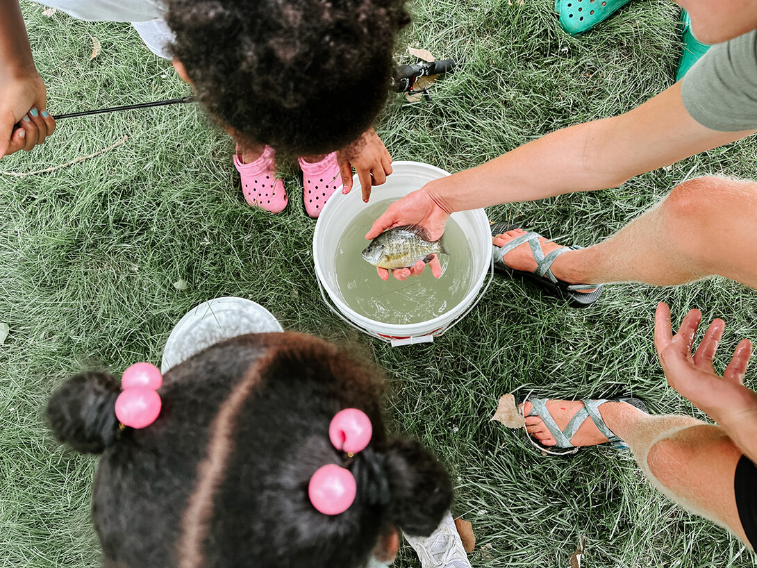 Students stand around a bucket examining a pan fish.