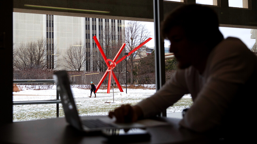 Jack Bond, a sophomore economics major, uses his laptop inside the Adele Coryell Learning Commons reading room on Nov. 11. The new learning commons features an open floor plan that allows for views of the surrounding parts of UNL's City Campus.