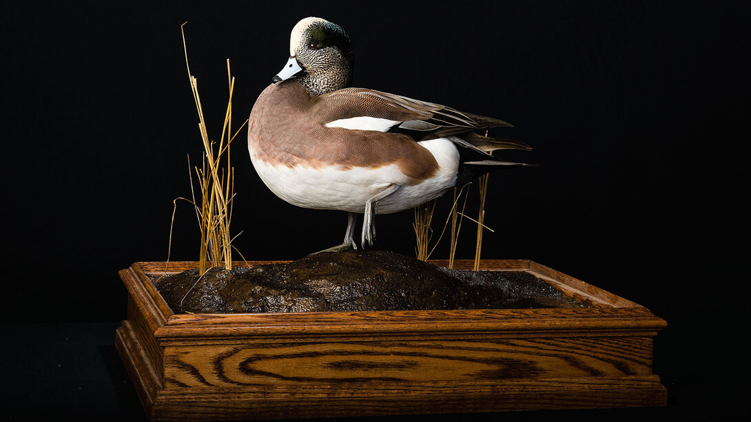 Photo by Michael Forsberg, conservation photographer, and Eric Fowler, of NebraskaLAND magazine.