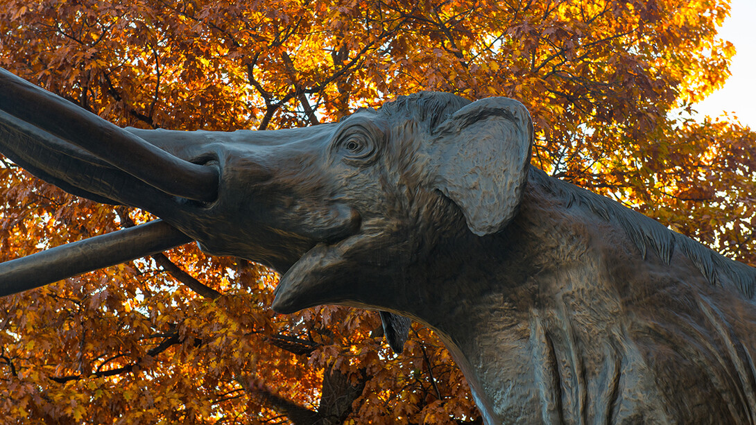 Morrill Hall