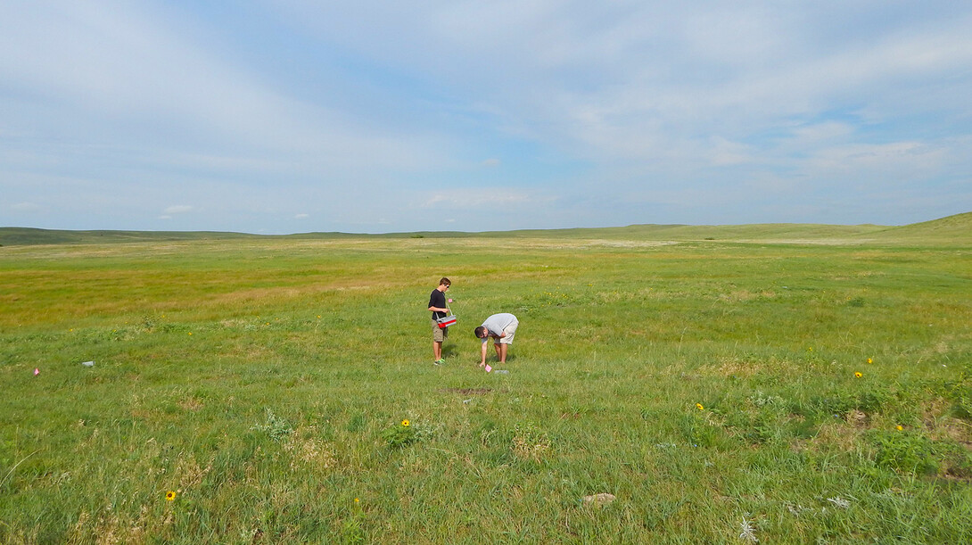 UNL students search for specimens during a field parasitology course at Cedar Point Biological Station. UNL has committed $600,000 to fund upgrades at the field research station near Ogallala.