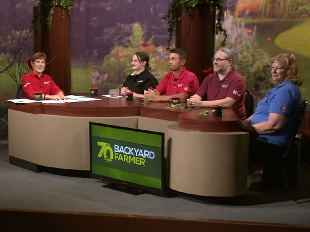 Extension Educators Sarah Browning (pictured at right) and Kait Chapman (second from left) were regularly featured experts on Backyard Farmer.