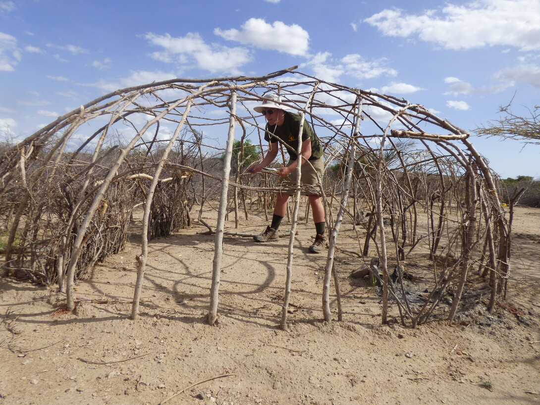 abandoned boma in park