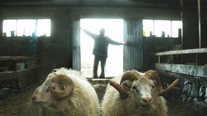 Rams - Trailer