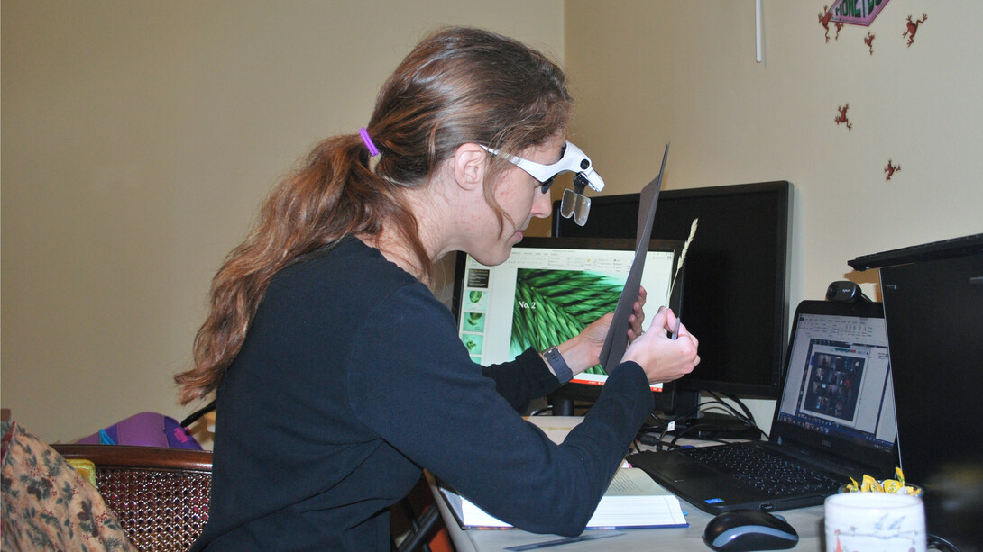 Cheryl Dunn explains the structures of crested wheatgrass to her Wildland Plants students during class on Zoom.