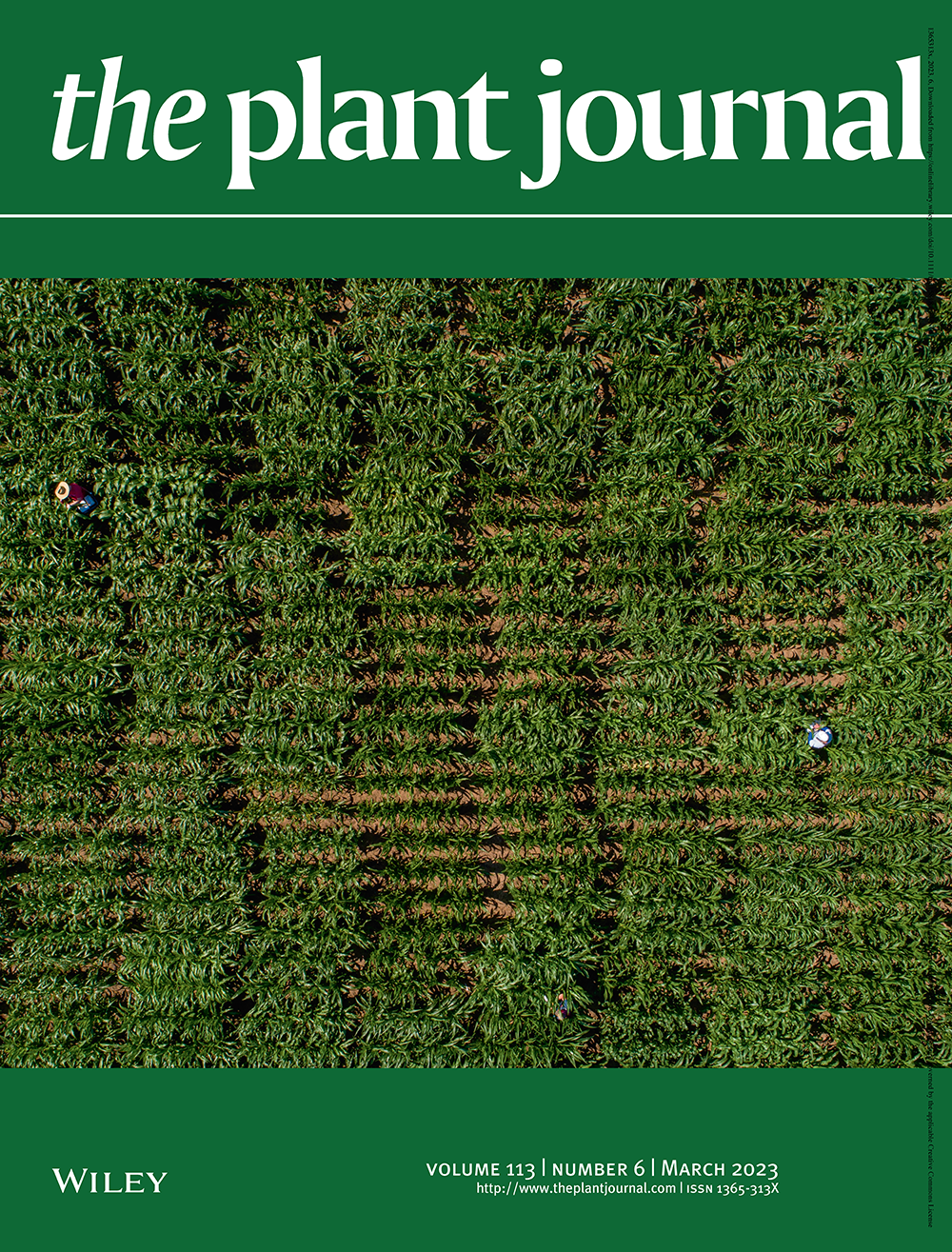 Cover of The Plant Journal