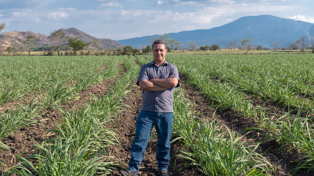 On his farm near Santa Ana, El Salvador, Carlos Martinez stands in a sugarcane field plowed with a tractor and machinery he built. Carlos Eduardo Somoza Vargas