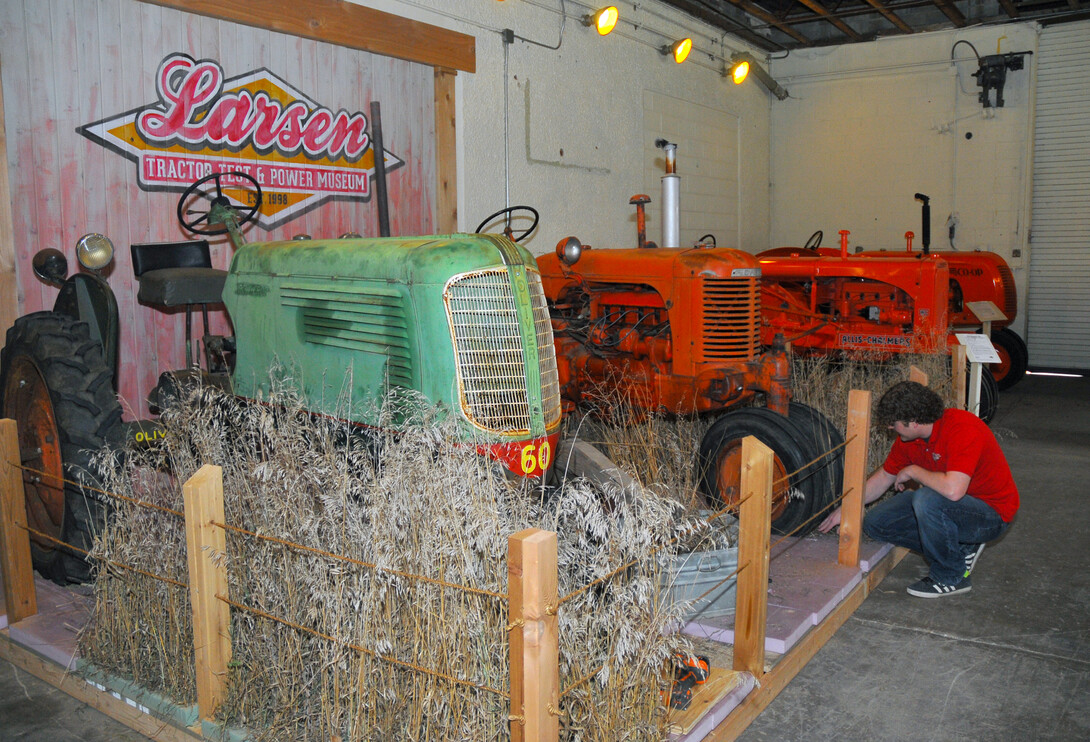 Lance Todd, manager of exhibits at the Lester F. Larsen Tractor Test and Power Museum, installs grass in the new exhibit. The project showcases an Oliver 60 and SC-Case in a setting that resembles an overgrown grass area behind a barn. 