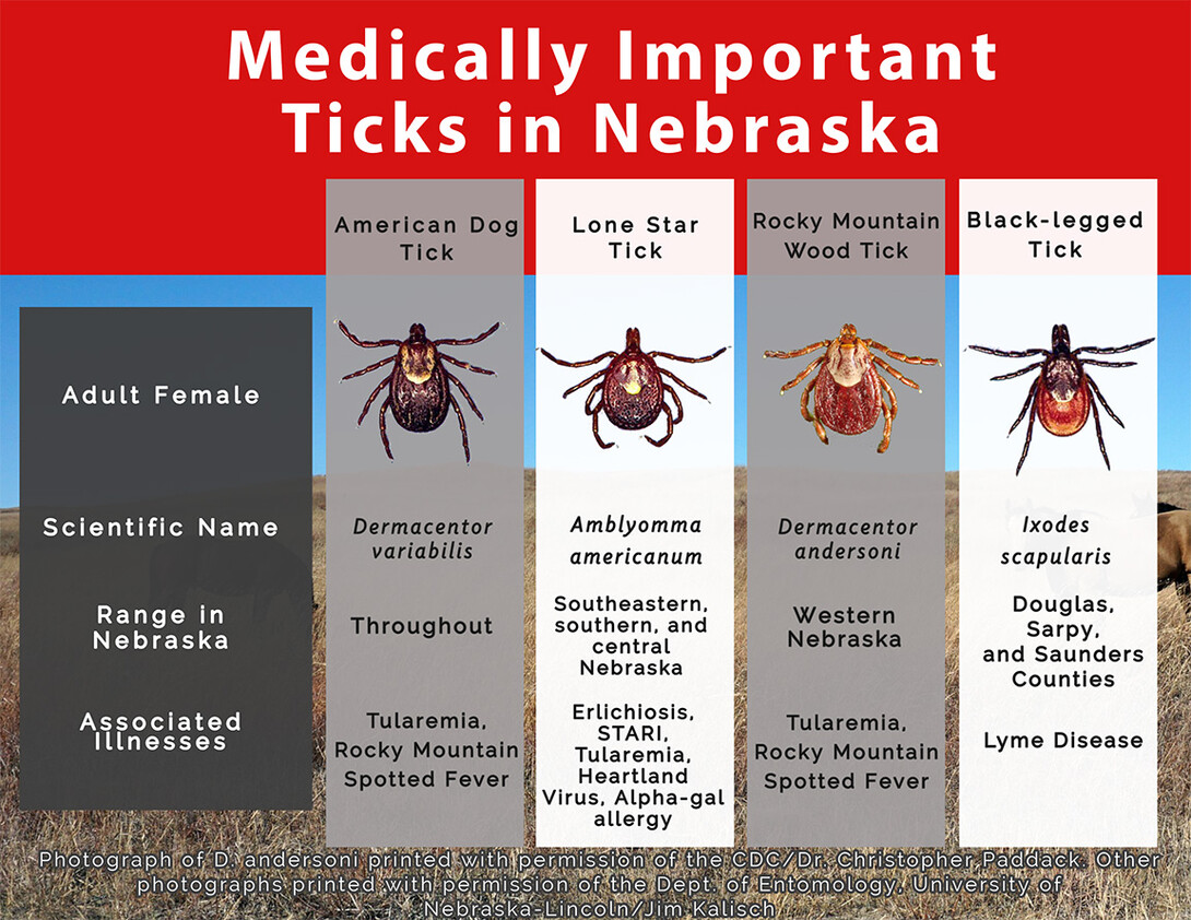 Ticks in Nebraska