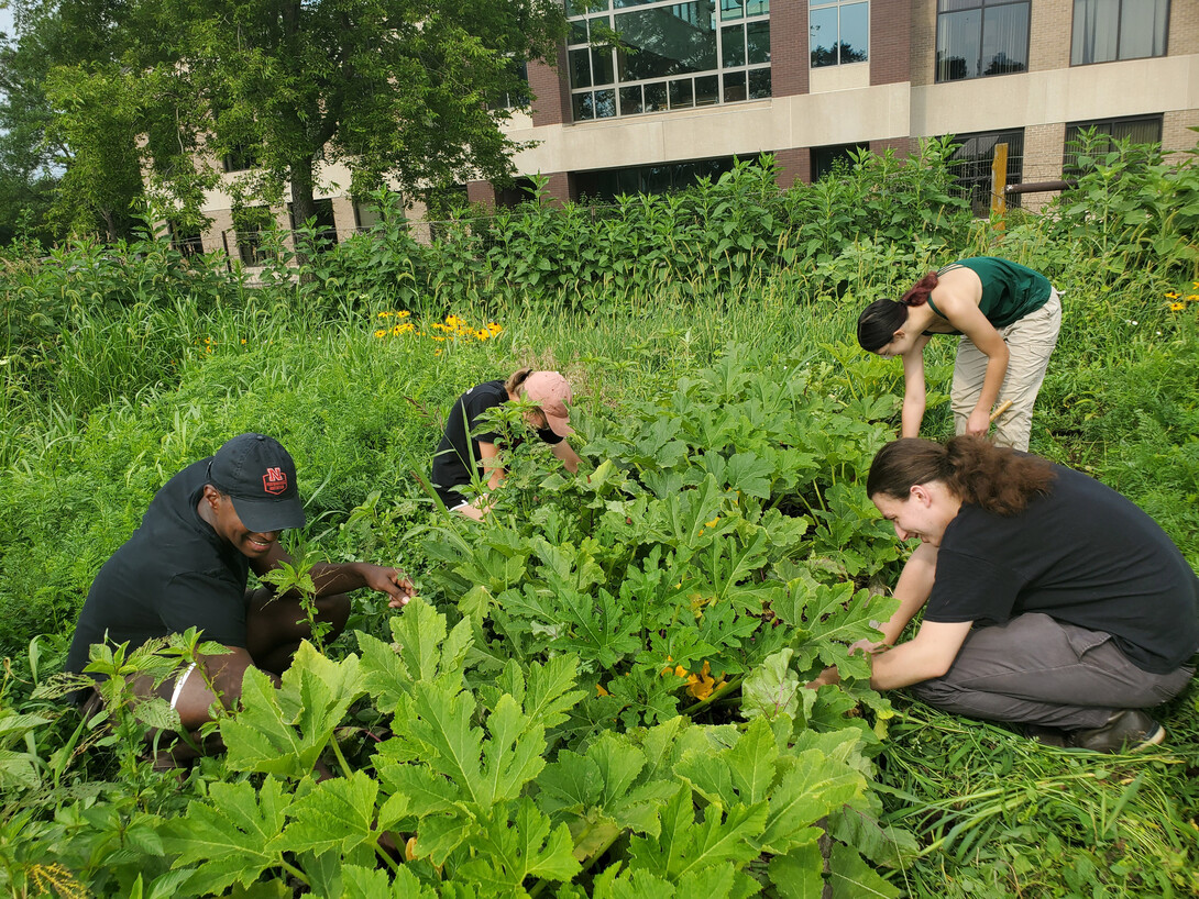 Student Organic Farm