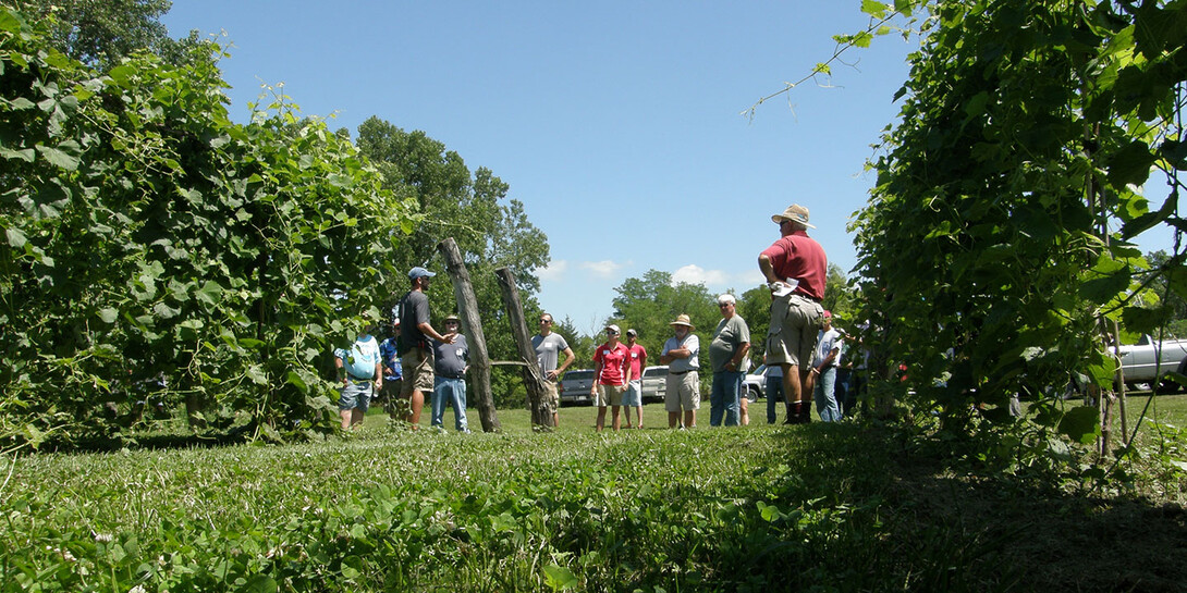 Viticulture field day