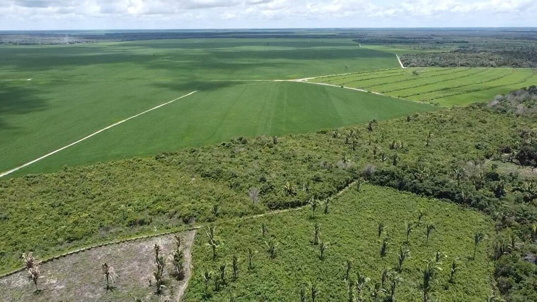 This aerial photo shows where rainforest has been converted to farm land in the Cerrado region of Brazil