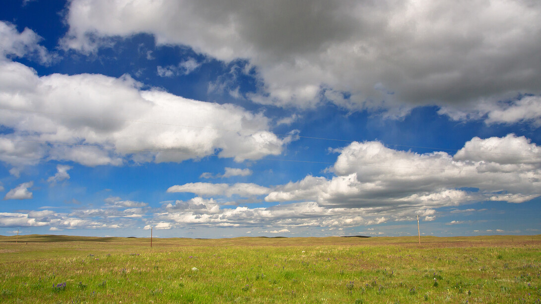 Photo of Great Plains grasslands against a blue sky with large white clouds