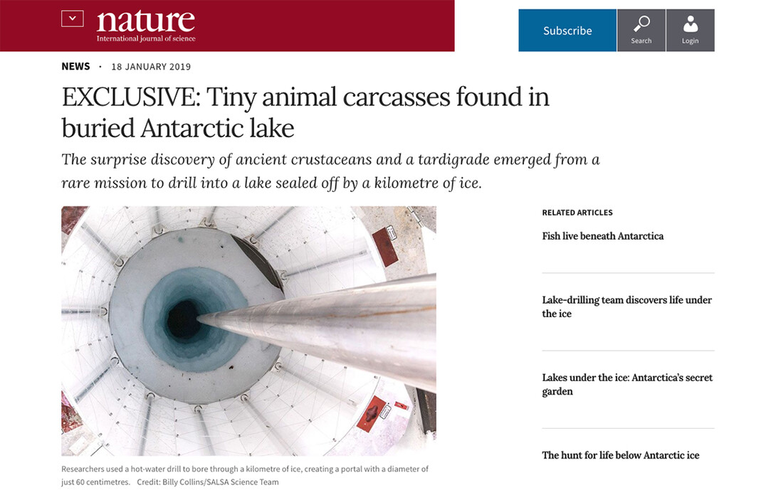 Nature is featuring David Harwood's discovery of animals within samples collected from a lake below the Antarctic Ice Shelf. The find was part of the NSF-funded SALSA research project.