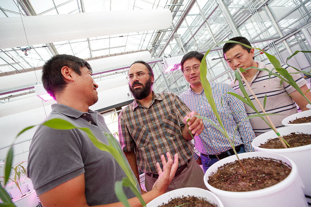 Greenhouse Innovation Center