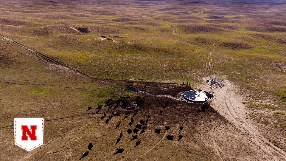 Nebraska Sandhills