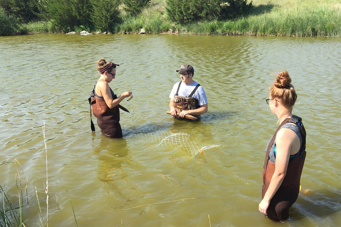 Students wading in pond