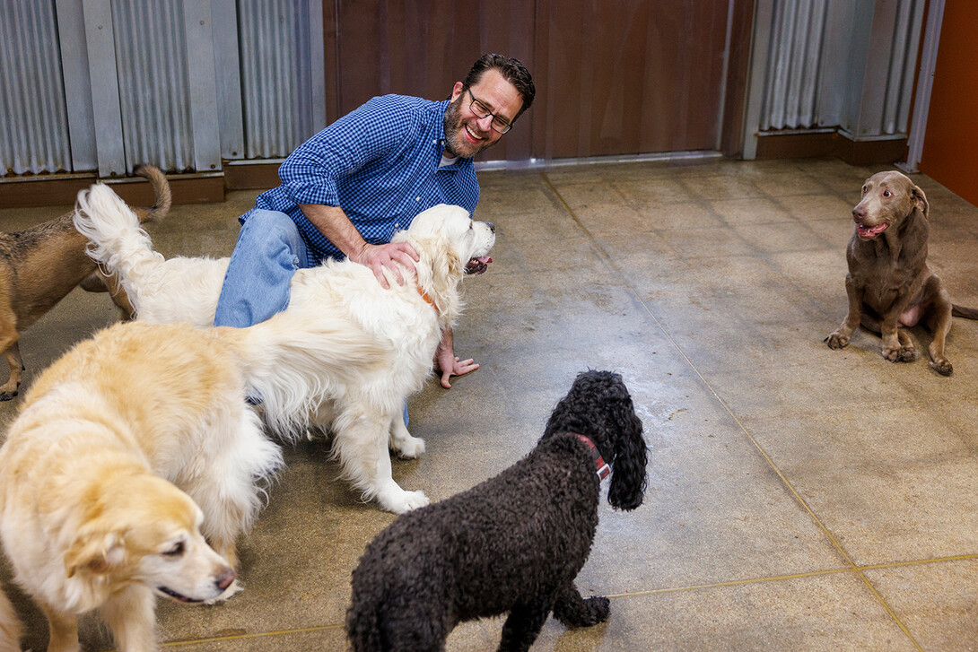 Jeffrey Stevens laughs while balancing himself on the ground with one hand as a a few large dogs walk into and around him