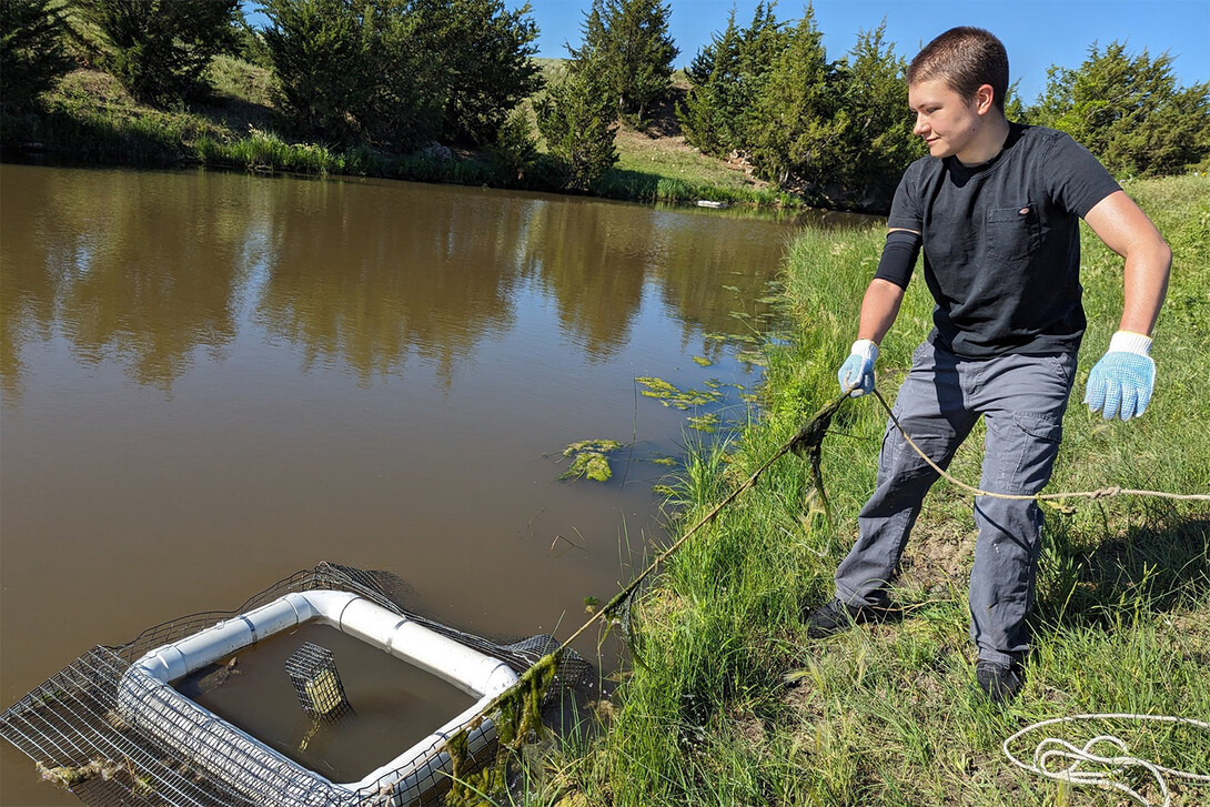 Student reeling in turtle trap