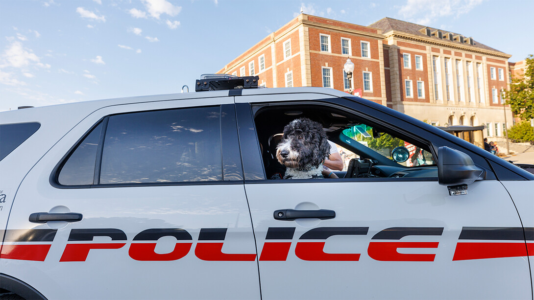 Therapy dog in UNLPD vehicle