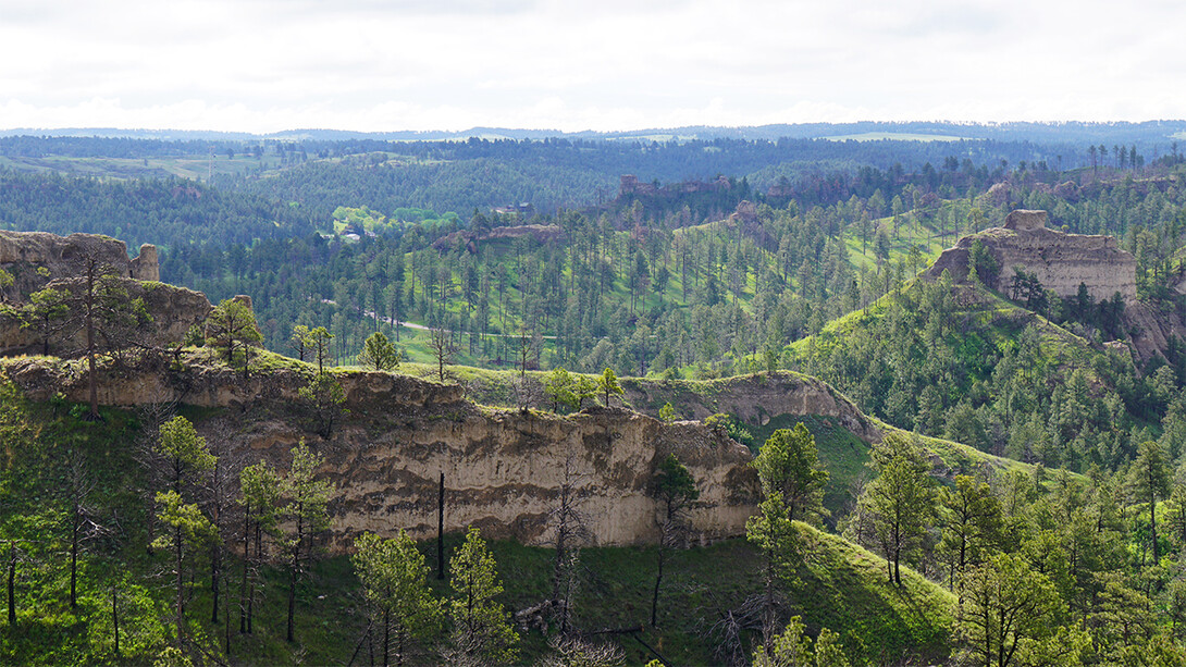 Pine Ridge region of Nebraska