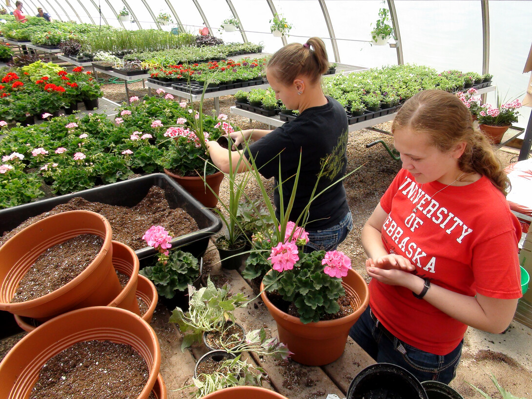 UNL Horticulture Club members Erica Hughes and Erin Kinley prepare planters for the club's annual sale.