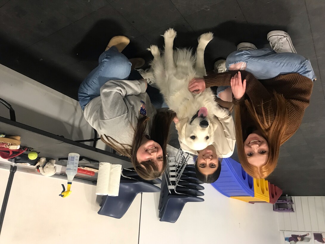 University of Nebraska students with Domesti-PUPS