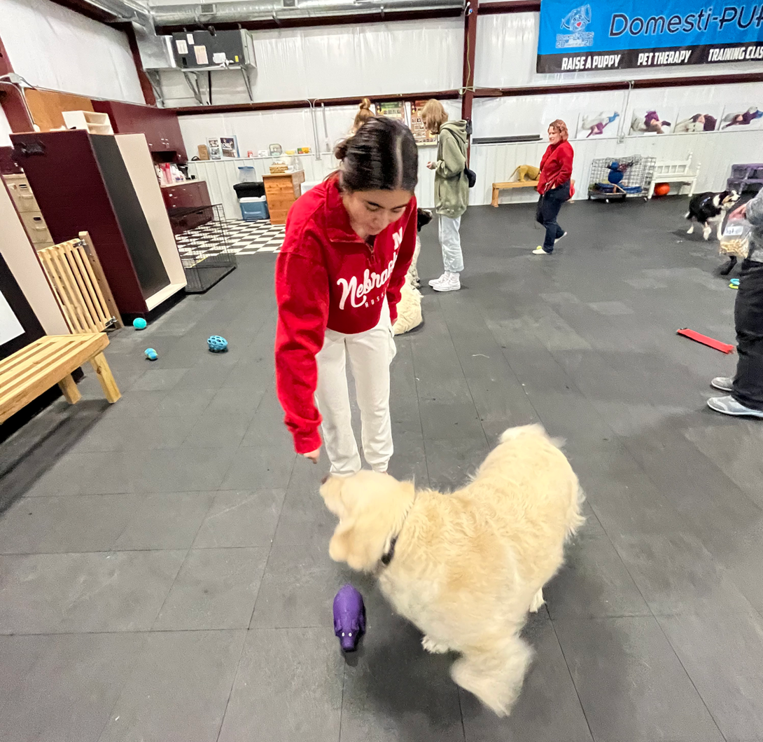 University of Nebraska students with Domesti-PUPS