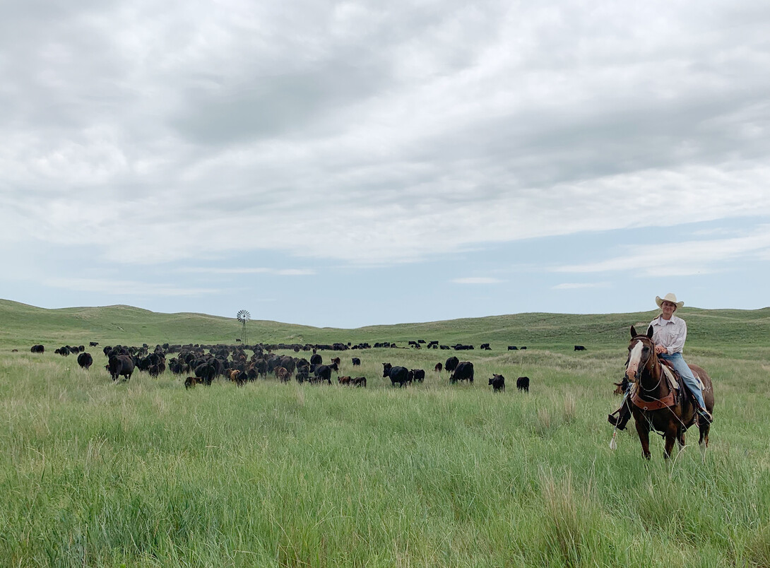 Diamond Bar Ranch - Natalie Jones