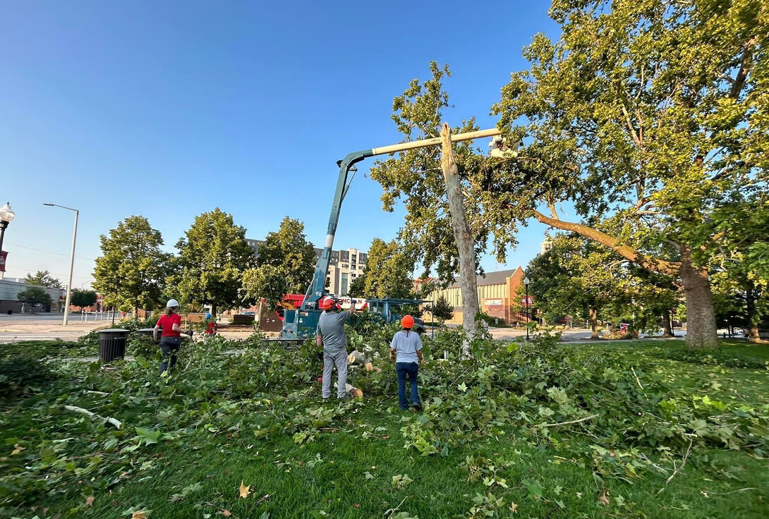 Crews remove a downed tree near Canfield Admin Building following a July 31, 2024 storm.