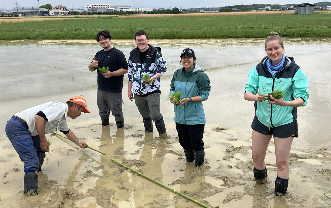 For the first week of the trip, students stayed at Kobe University, where they learned about research in the agricultural sciences.
