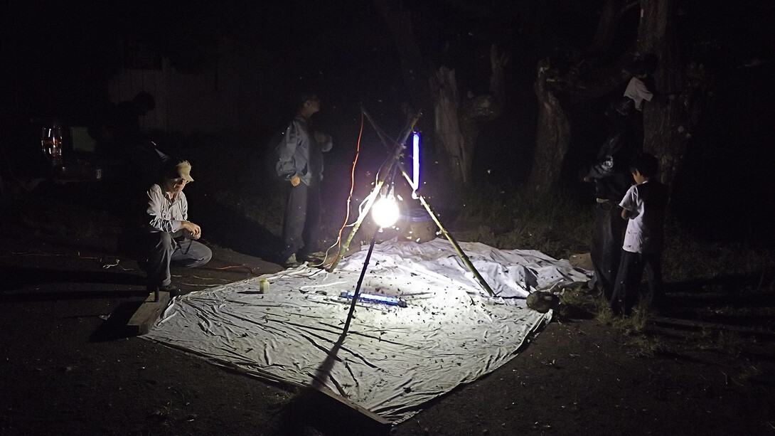 Brett Ratcliffe (left) and other researchers watch as insects are trapped to a light trap in the jungles around Los Tarrales, Guatemala.