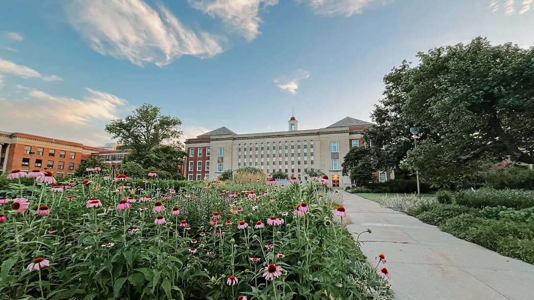 Flowers blooming with Love Library in the background