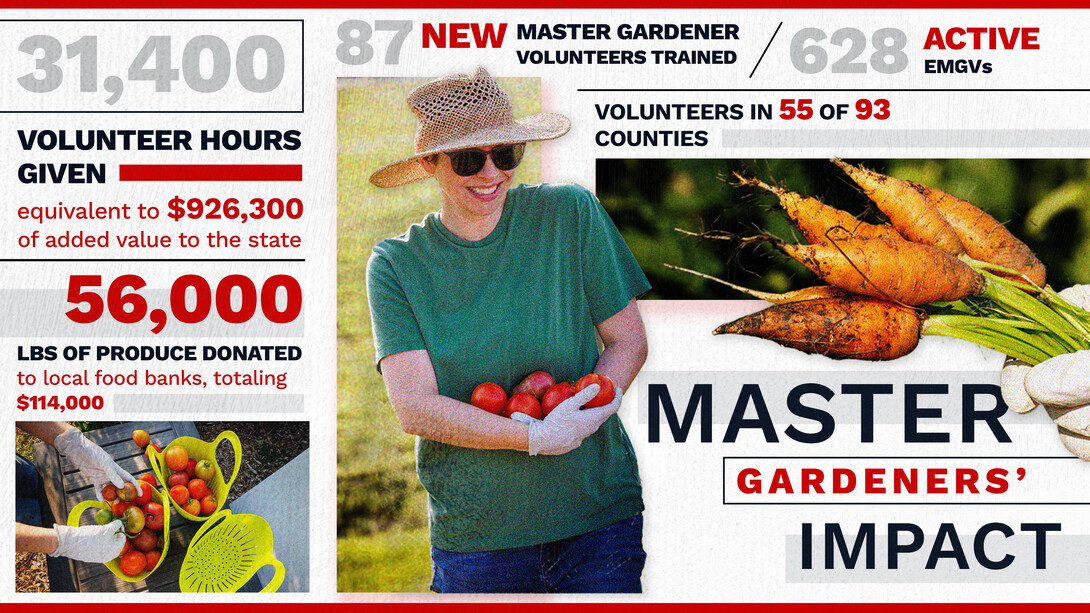 Master Gardener volunteers make a big impact on the state.