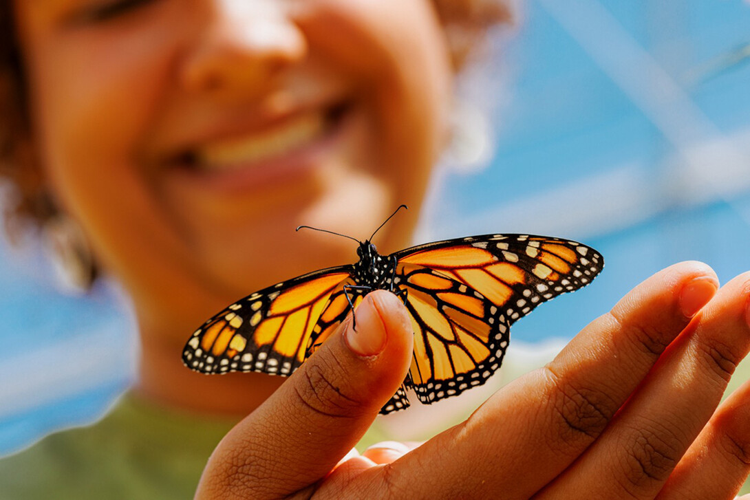 Miyauna Incarnato, a biological sciences graduate student from Akron, Ohio, smiles as she holds a monarch butterfly in a greenhouse on East Campus.