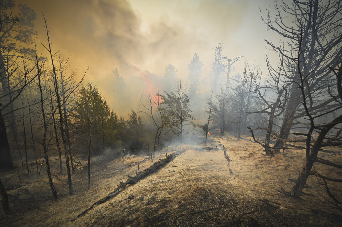 Forest fire, Sunday July 22, 2012 near Springview, Nebraska