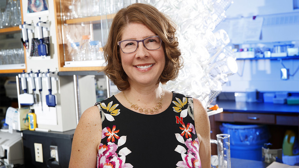 Nebraska's Angela Pannier was one of two campus researchers to earn the Presidential Early Career Award for Scientists and Engineers from the federal government. Pannier and Marilyn Stains received the honor in Washington, D.C., on July 25. 