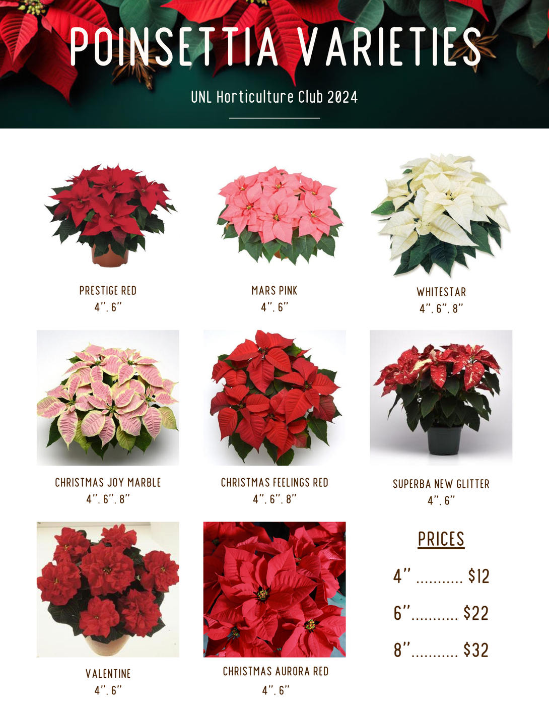 A poster depicting poinsettia varieties and their prices.