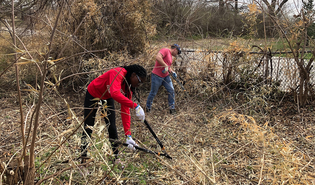 Promise Emmanuel and Ben Bentzinger remove brush at the Kansas City Zoo.