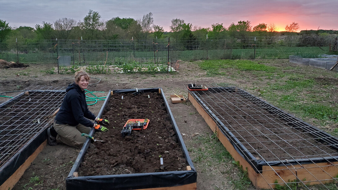 Amber Reinkordt pauses while planting her family's 2020 garden. Prepared beds are covered to keep chickens from digging up seedlings.