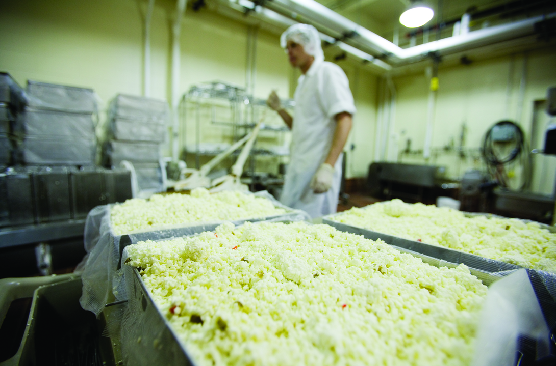 A UNL employee makes cheese in the Dairy Store on East Campus.
