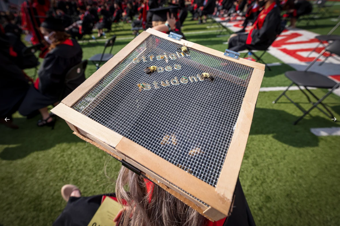 Courtney Waller decorated her mortar board with a wire cage that included live bees buzzing about on the inside and fake bees on the outside. The design declared that she was a "straight bee student."