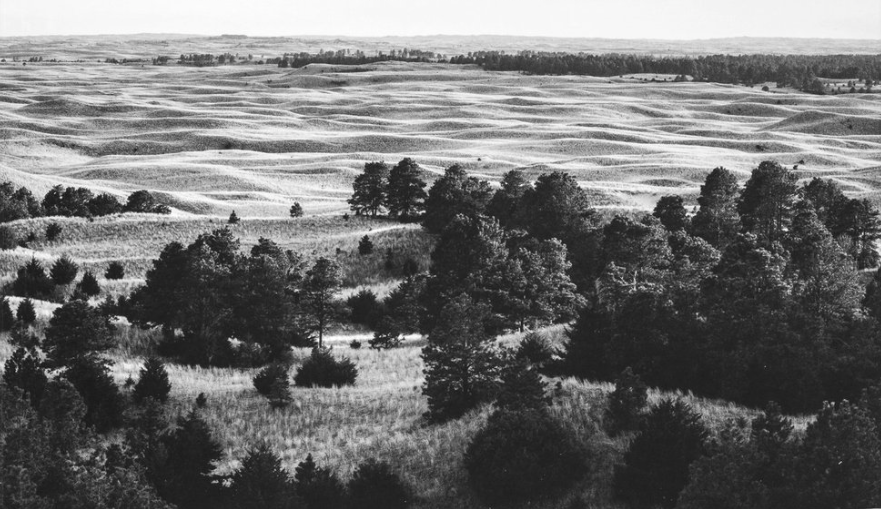 A black and white photograph from Dana Fritz's new book depticts Nebraska National Forest