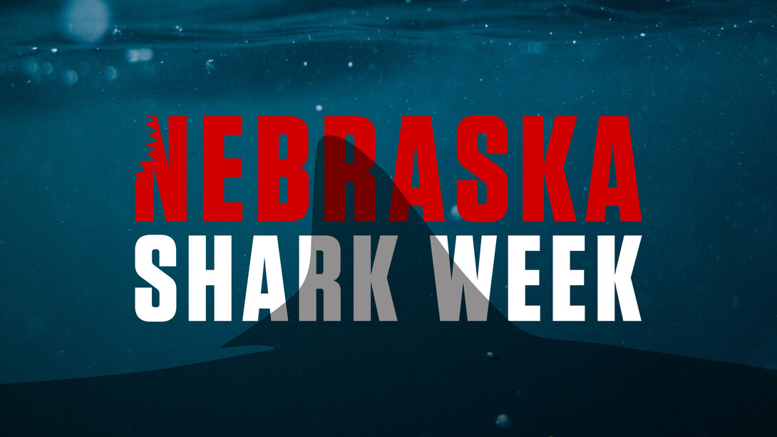 Nebraska Shark Week graphic