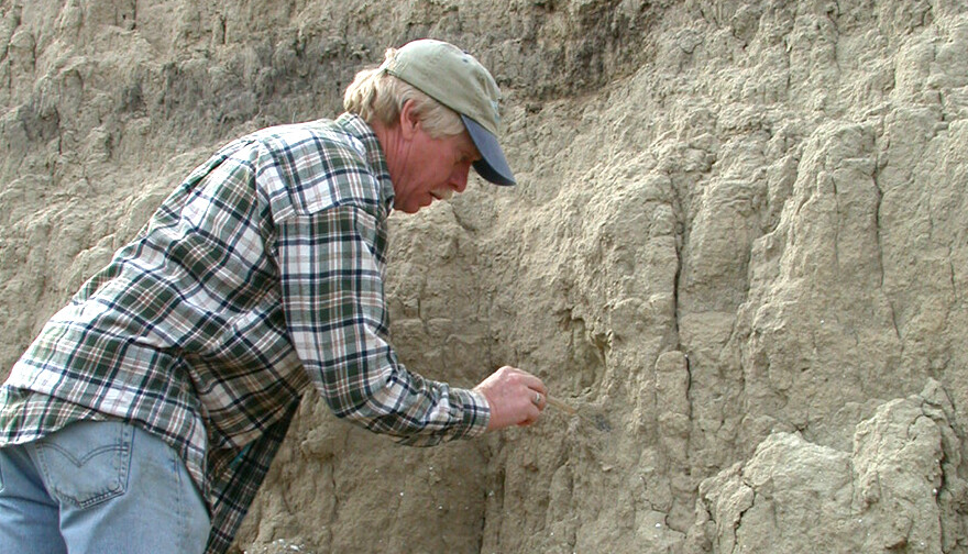 Steven Holen works to reveal a fossil. Holen and his wife, Kathleen Holen, are part of a research team that released information on humans arriving in North American 1,000 centuries earlier than previously believed.