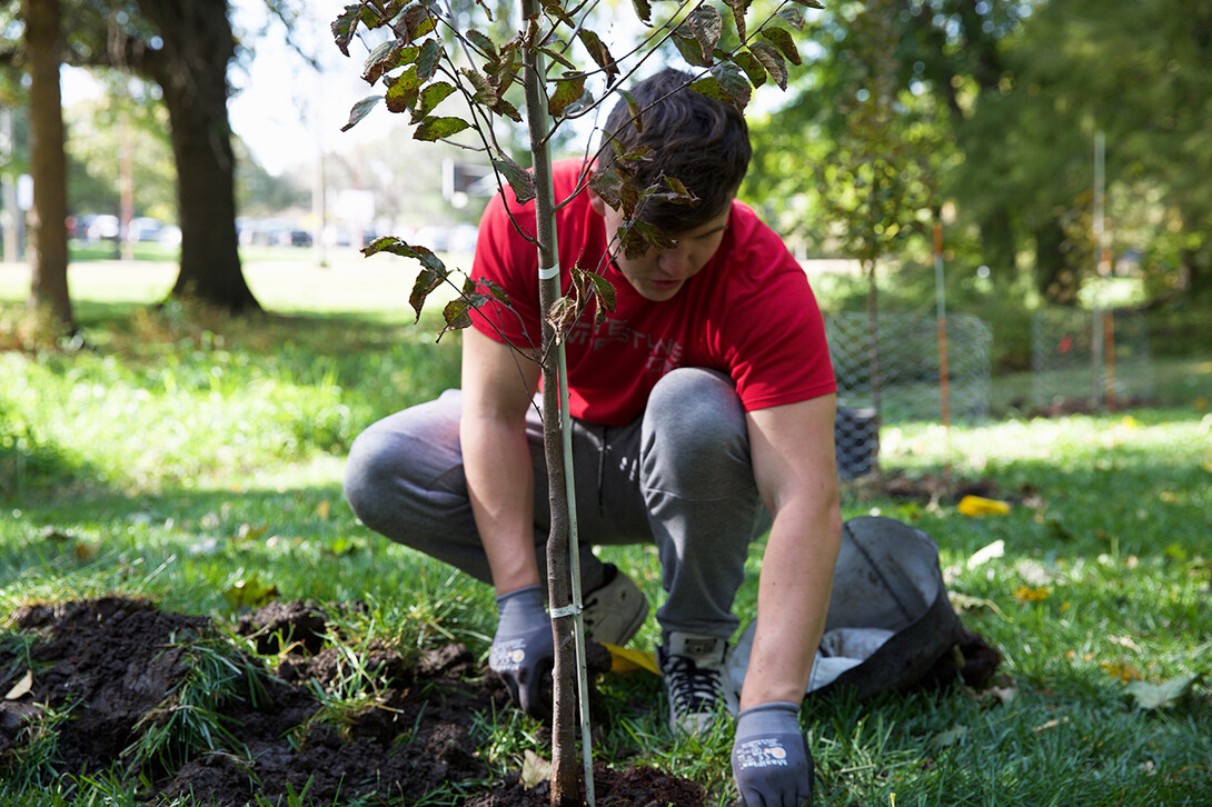 Tree Planting